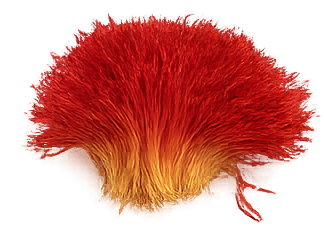 Abiz